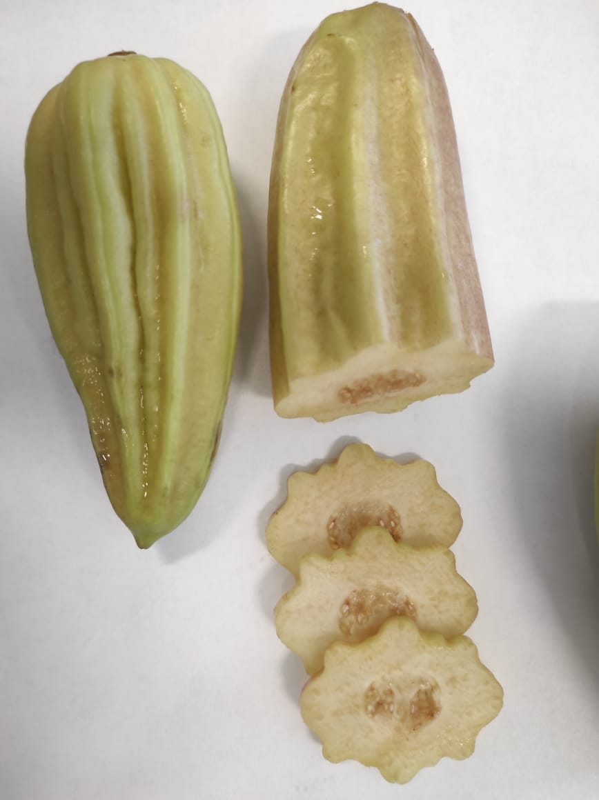 Nutrición